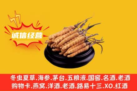 忻州繁峙县回收冬虫夏草